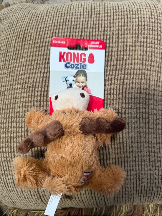 Kong Other - Kong dog bundle
